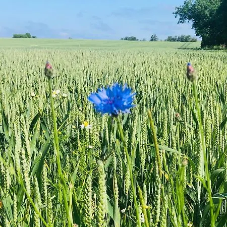 Apartment Landhaus Hohenfelde